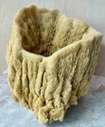 Large Unbleached Natural Sea Sponge 10   x9    Marine Coastal Beach Decor