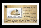  26429 Sierra Leone 1993 Fauna Pets Cats S sheet  Yv Bl 216 Mnh