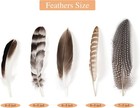 40pcs Natural Pheasant Feathers Bulk Spotted Feathers 5 Styles Mixed Feathers   