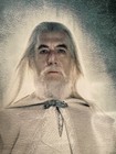 Lord Of The Rings Two Towers Original Vinyl Bus Shelter 4x6 Ft  Movie Poster C
