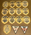 Lot Set X16 National Safety Council 3-19 Year Safe Freight Truck Driver Awards