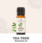 Citronella Java Essential Oil 100  Pure  Natural  And Undiluted   Diffuser 5ml