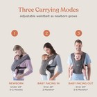 Ergobaby Embrace Carrier - Heather Gray
