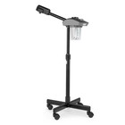 Black Pro 2 In 1 Facial Steamer Ozone Beauty Salon Spa Salon Skin Care Machine