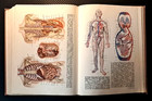 1963 Medical Encyclopedia Comprehensive Health Anatomy Surgery Russian Book