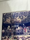 Grateful Dead Concert Photo Bob Wier Signature Shorts Rob Cohn Image Print 8x10
