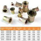 320pcs Sae Rivet Nut Kit For Rivnut Tool Nut Setter Thread Setting Nutsert Gun
