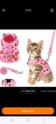 Soft Cat Harness - 3pc