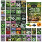 Heirloom Medicinal Herb Seeds Variety Pack - 36 Non-gmo Healing Herbs For Garden
