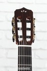 Cordoba Stage Nylon-string Acoustic-electric Guitar - Natural Ziricote 