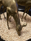 Vintage Pair Of Large Brass Deer Figurine Statues Buck 13    Doe 8    Heavy Rustic