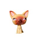Littlest Pet Shop Lps  1 Chihuahua Tan Cream Brown Eyes Lps 2005 Hasbro