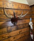Vintage Handmade Bull Horn Art