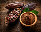 3 Lb Organic Cocoa Powder  Unsweetened Cocoa Powder With Rich Dark Chocolate Fl