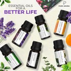 Essential Oils Aromatherapy Set - 6 X 10ml Oils For Diffusers  Home Care