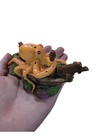 Small Aquarium Decoration Cute Octopuse Design Fish Tank Ornament Shipwreck L   