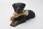 Vintage Sandicast 1986 Rottweiler Puppy Figurine  193 Sandra Brue Made In Usa