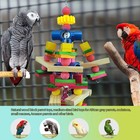 Parrot Toys For African Grey Parrots  Cockatoos  Small Macaws  Amazon Parrots   