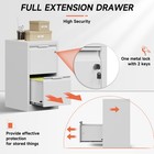 Metal 2 Drawer File Cabinet With Lock Storage Filing Cabinet Office Vertical