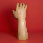 Realistic Medical Learning Horror Prop Hand 1985 Medical Plastics Laboratory 