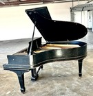 Steinway Grand Piano 5 7  Satin Ebony 1904
