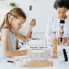 Periodic Table With 83 Real Elements Inside  Acrylic Periodic Table Of Chemical