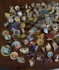 Very Large Lot Of 200 Various Vintage Elks Bpoe Pins