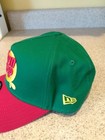 Dale Earnhardt   dale Jr   new Era    Sundrop Nascar Snapback   free Shipping  