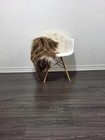 Icelandic Sheepskin Rug   Sheepskin Rug Soft Silky Long Wool  c443