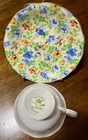 Vintage Radfords Bone China Floral Chintz Teacup And Saucer Set  Made In England