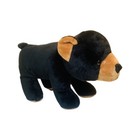 2017 Fun Stuff  Black Bear Stuffed Animal 11  Plush Cute Soft Toy Lovey Stuffie