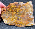 Graveyard Point Plume Agate Slab  Great For Cabbing 2 11oz   1048 