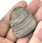 Fordite Detroit Agate Slab 13g Multi-color Lapidary Specimen Usa