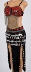 Belly Dance Costume Set Red Sequins Beaded Fringe Bra Silver Coin Belt Skirt 2pc