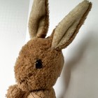 Vintage Eden Toys Peter Rabbit Bunny Toy Plush Musical Wind Up Stuffed Animal Us