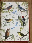 The Red Book Of Birds Of America H  Vintage  1954  Whitman Booklet 