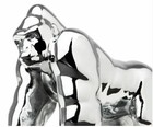 Gorilla King Hood Ornament  chrome  3 Hole Mount 4 3 4  Tall Semi Truck