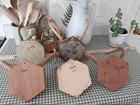 Antique Or Vintage Taxidermy Deer Antlers Mounted On Wooden Plaques