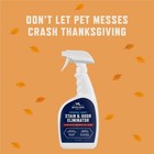 Enzyme Cleaner  Pet Odor Eliminator For Home - Carpet Stain Remover For Cats   D