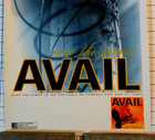Avail Over The James 1998 Original Lookout Records Promo Poster Tim Barry