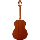 Cordoba C9 Crossover Nylon String Acoustic Guitar