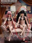 Phicen Doll Girl Type Phicen S24a1 6 Seamless Shorter Body Pale M Bust Figure