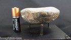  Rare Xlg Ancient Pre-columbian Mexico Greenstone Pendant  With Petroglyph 