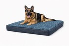 Pawfect Bed Company Xl Orthopedic Memory Foam Dog Bed  Washable Cover  42x30x4 