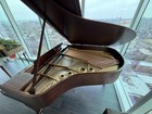 Steinway Baby Grand Piano 1923 Fully Restored Model L