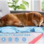 Quick Drying Super Absorbent Microfiber Dog Pet Towels Xl 55 x28  Grooming 2pk