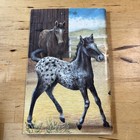 1966 1990 Royal Rangers Buckaroos Handbook Johnnie Barnes Assemblies Of God