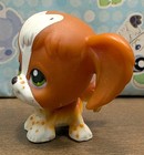 Lps Hasbro  31 Brown white Spaniel Dog Green Eyes 2004 G1 Authentic Rare Collect