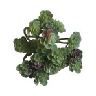 Artificial Succulents Pvc Green Plant Fake Floral Garden Home Office Decor