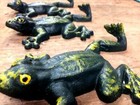 Lot Of 24 Climbing Tree Frog Hooks Hand Painted Green  Coat Robe Towel Wall Hook